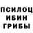Псилоцибиновые грибы Cubensis Alson Teo