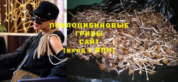 стаф Абинск