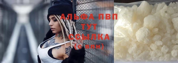 стаф Абинск