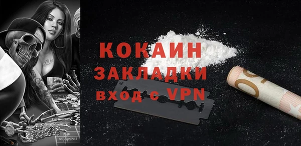 стаф Абинск