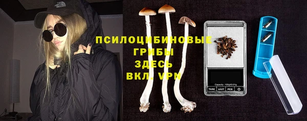 стаф Абинск